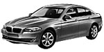 BMW F10 U113D Fault Code